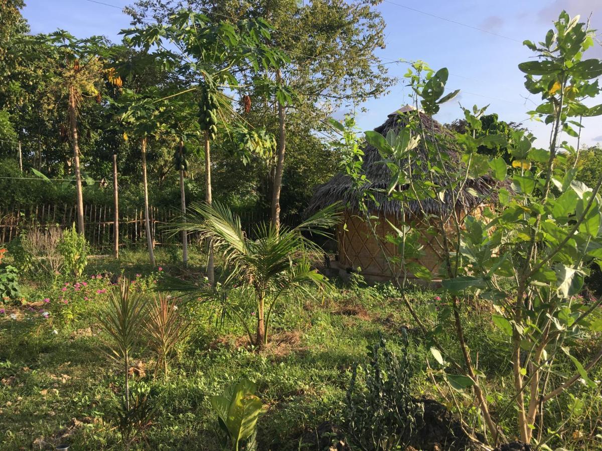 Little Nomads Eco-Guesthouse Siquijor Bagian luar foto